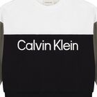 Boys Black, Green & White Logo Sweatshirt, 1, hi-res