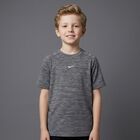Boys Grey Logo T-Shirt, 1, hi-res