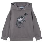 Boys Grey Dinosaur Hooded Top, 2, hi-res