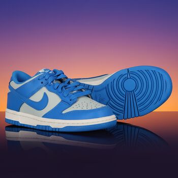 Blue & Grey Dunk Low Trainers 