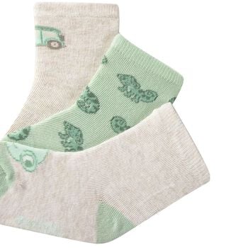 Younger Boys Beige & Green Socks ( 3-Pack ) 