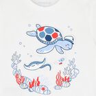 طقم شورت اولاد باللون الابيض والكحلى , 2, hi-res