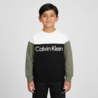 Boys Black, Green & White Logo Sweatshirt, 1, hi-res