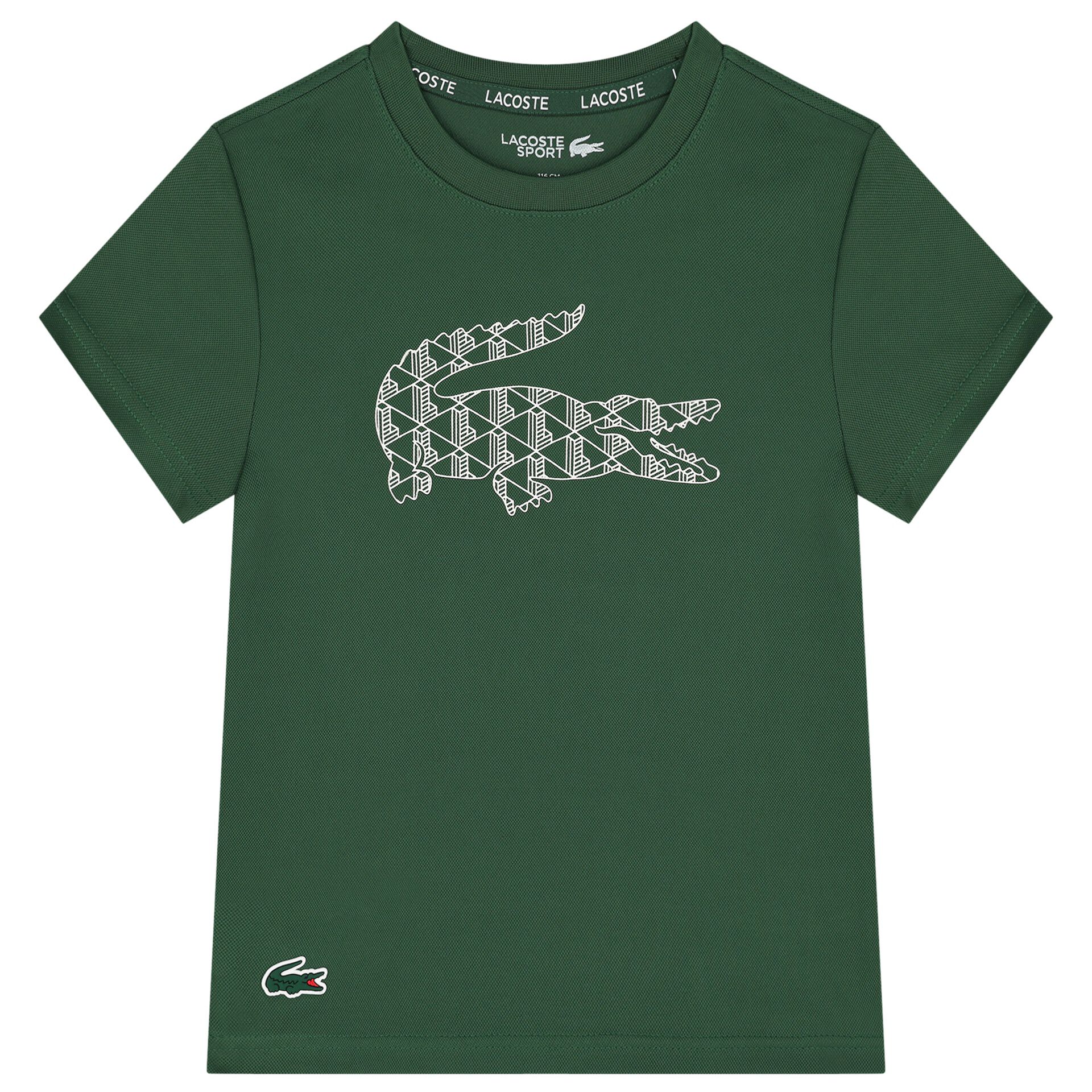 Tee shirt lacoste junior cheap