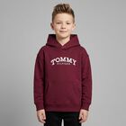 Boys Red Logo Hooded Top, 3, hi-res