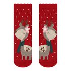 Baby Girls Red Reindeer Socks, 2, hi-res