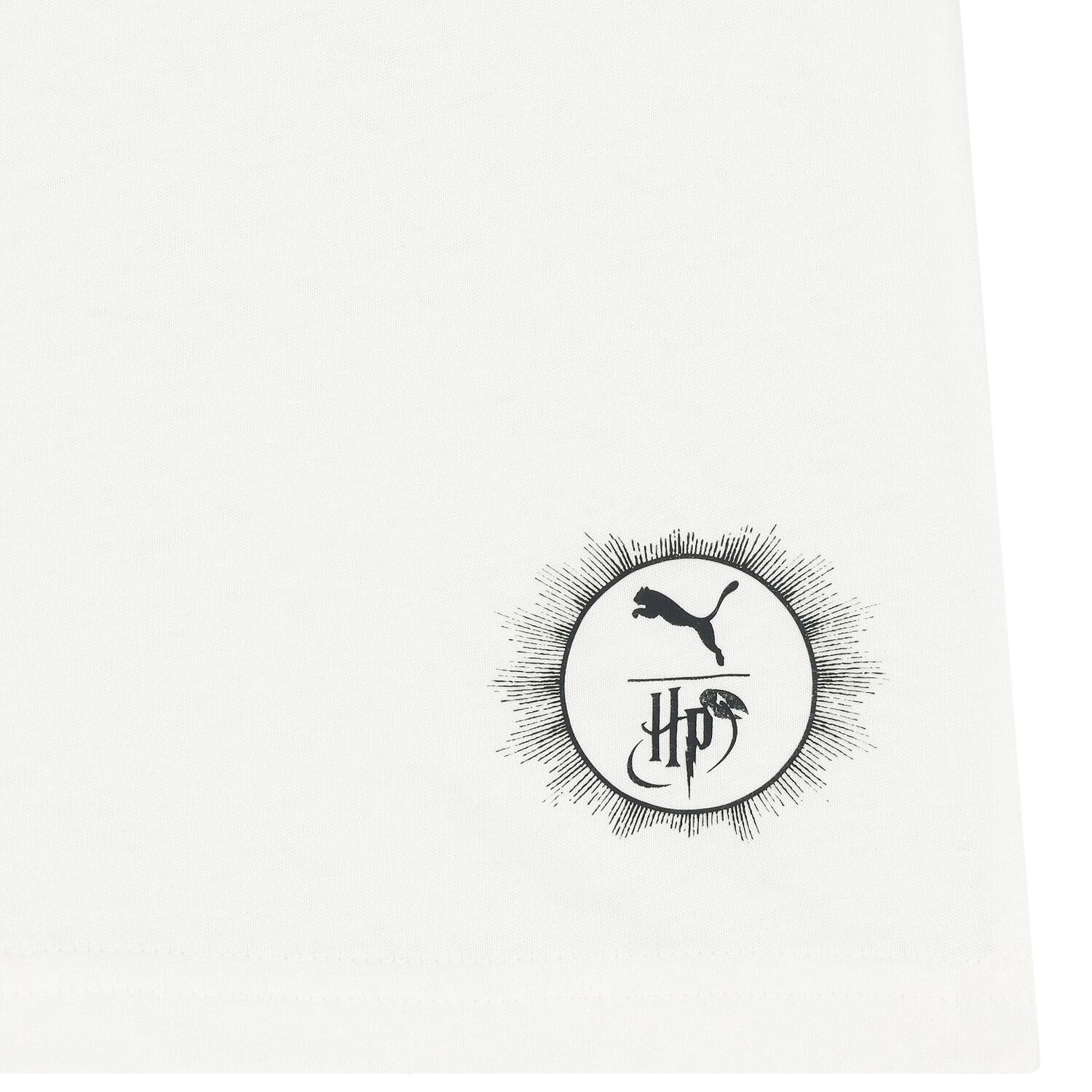Boys Ivory Harry Potter Logo T-Shirt, 1, hi-res