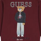 Boys Burgundy Teddy Bear Logo Sweatshirt, 2, hi-res
