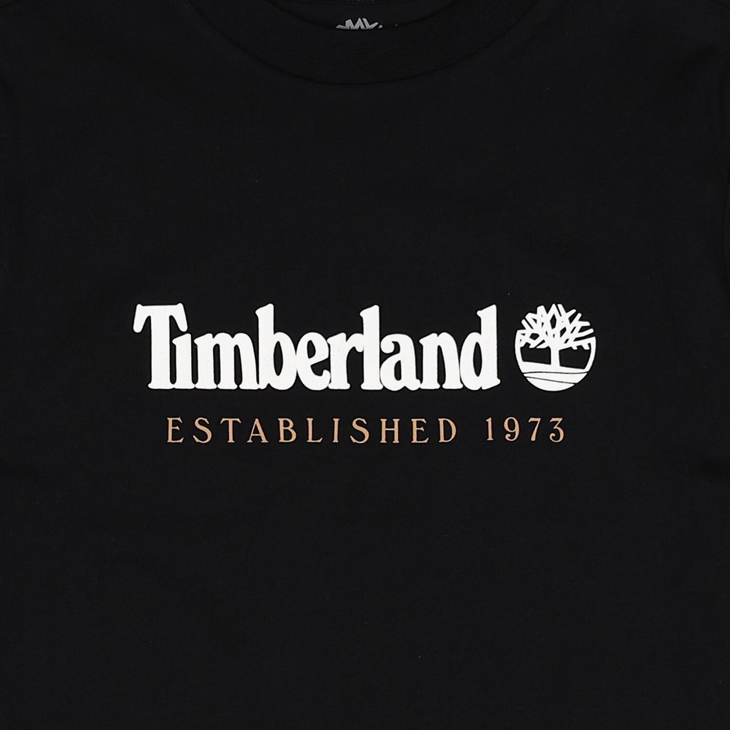 تيشيرت للأولاد بالشعار باللون الأسود, 4, hi-res