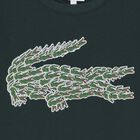 تيشيرت اولاد بالشعار باللون الاخضر, 3, hi-res