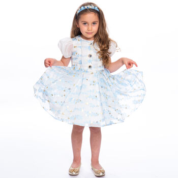 Girls White & Blue Organza Dress