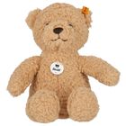 Beige Teddy Bear Toy ( 21cm ), 1, hi-res