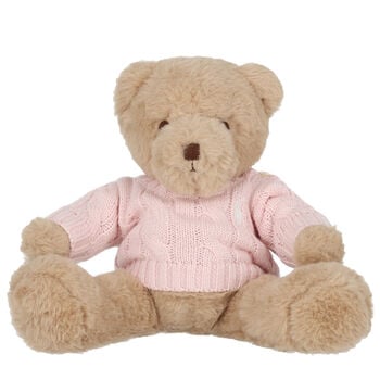 Girls Beige & Pink Teddy Bear Soft Toy