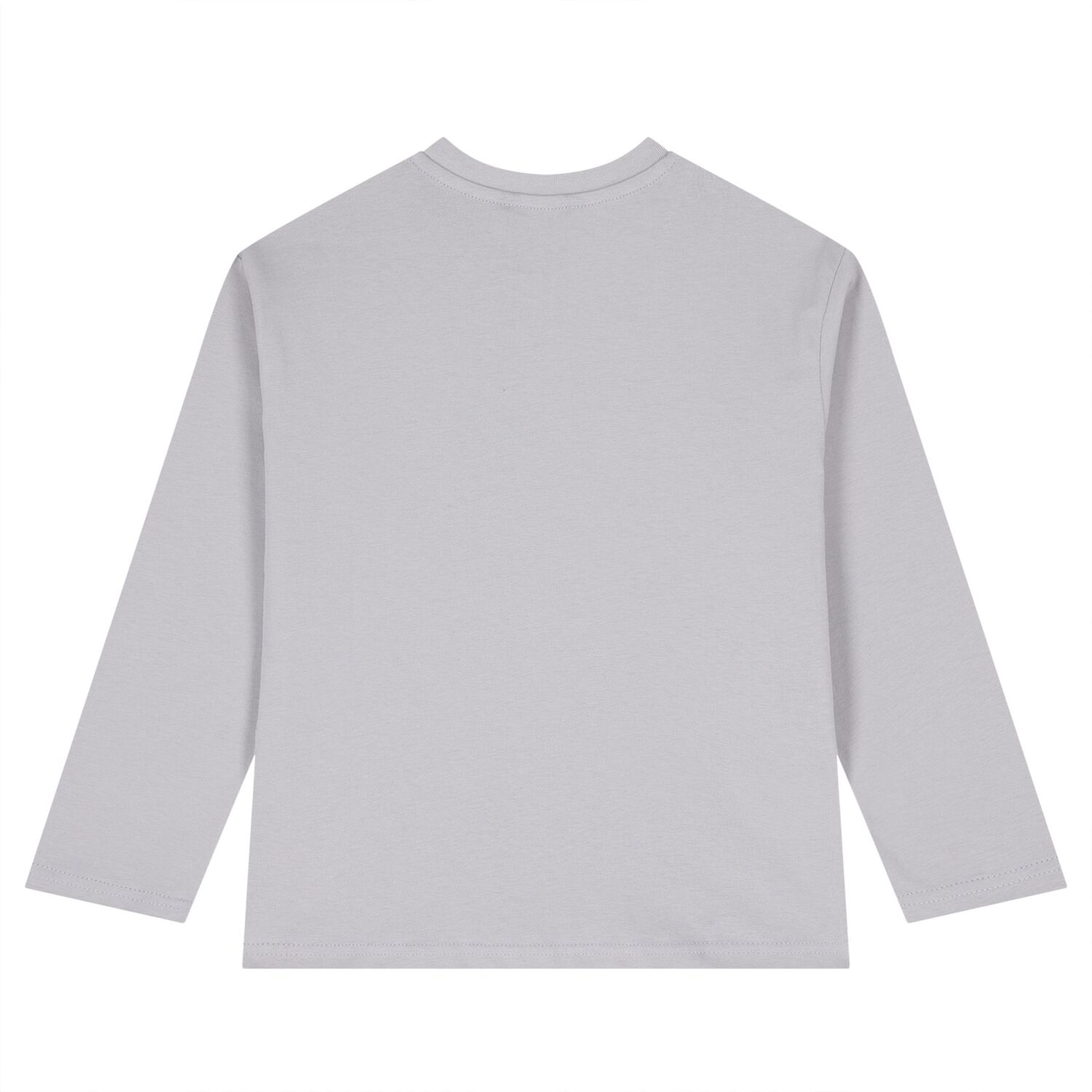 Boys Grey Long Sleeve Top ( 2-Pack ), 2, hi-res
