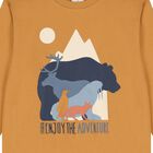 Boys Yellow & Blue Tracksuit, 1, hi-res