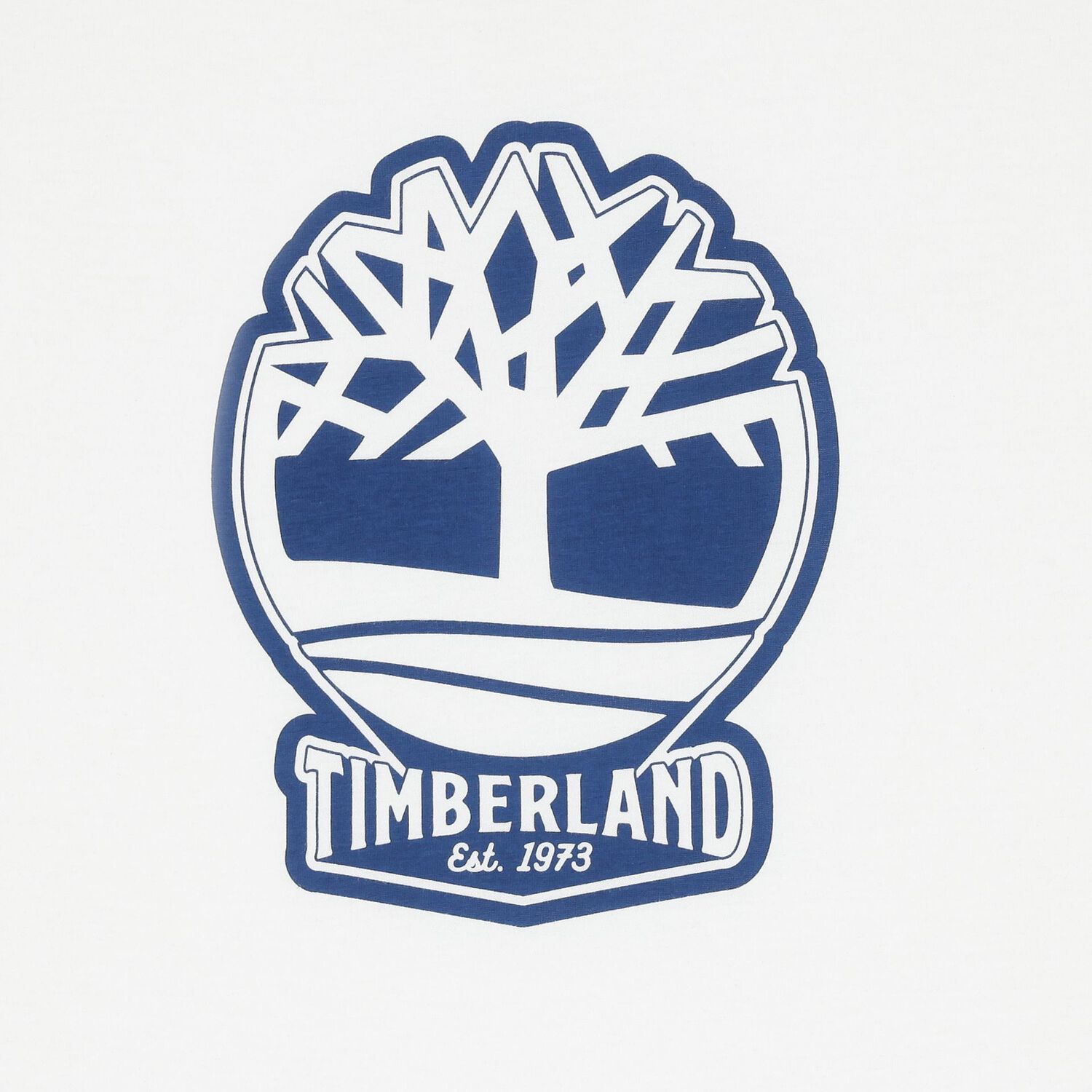 تي شيرت للأولاد باللون الأبيض بشعار, 2, hi-res