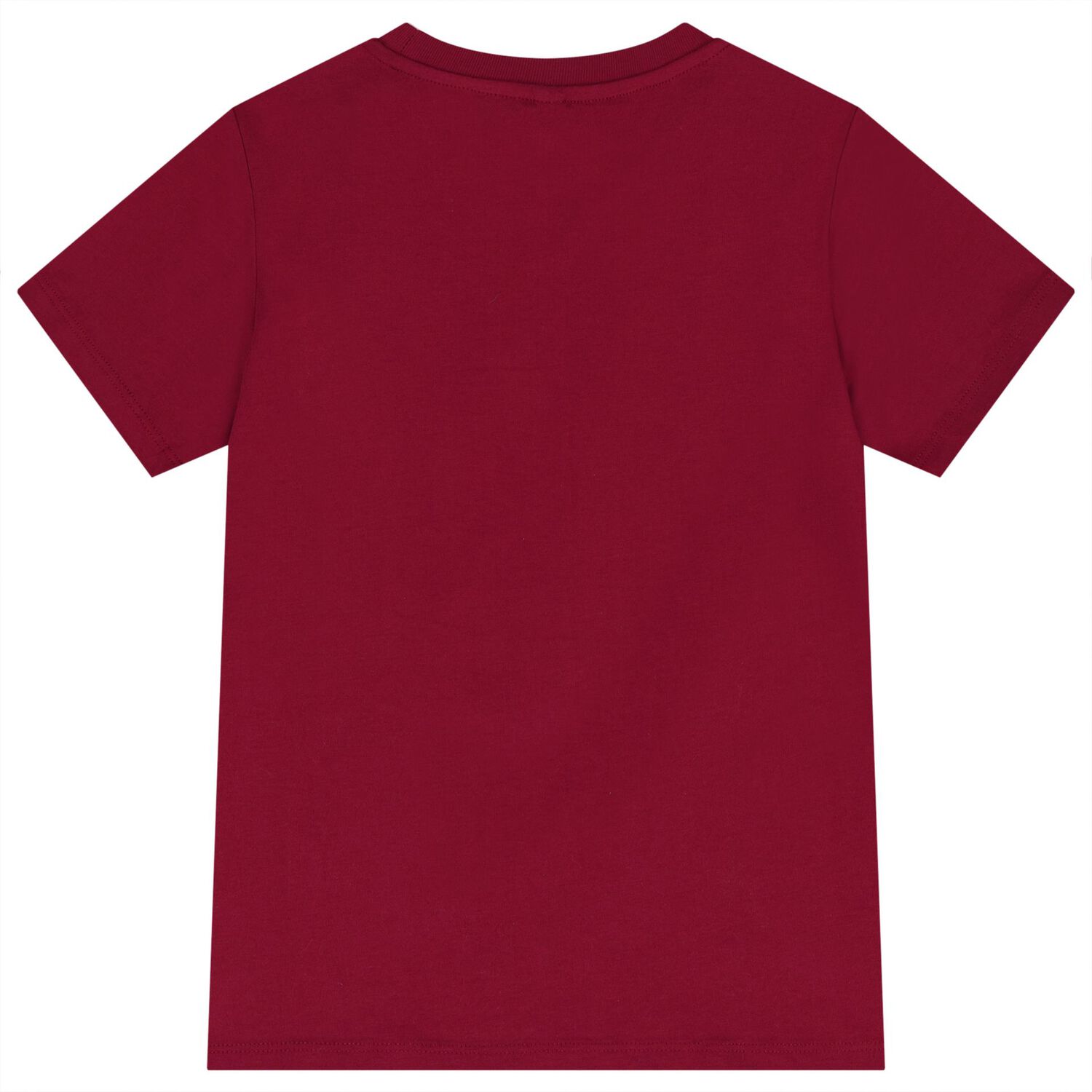 Boys Burgundy Lion T-Shirt, 1, hi-res