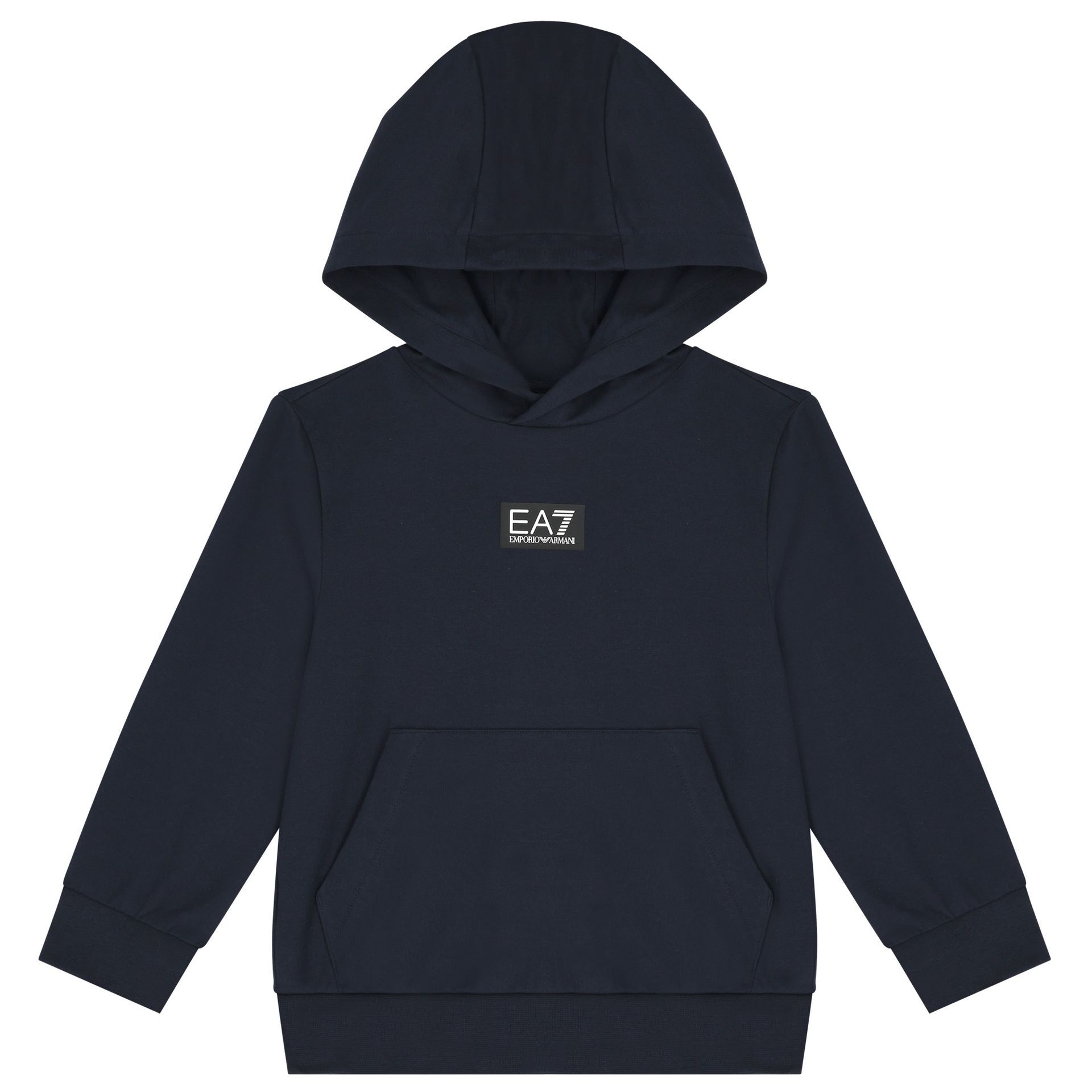 Emporio armani ea7 logo master hoodie discount