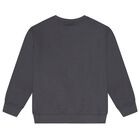 Boys Grey Logo Sweatshirt, 2, hi-res