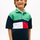 Boys Multi-Coloured Logo Polo Shirt, 1, hi-res