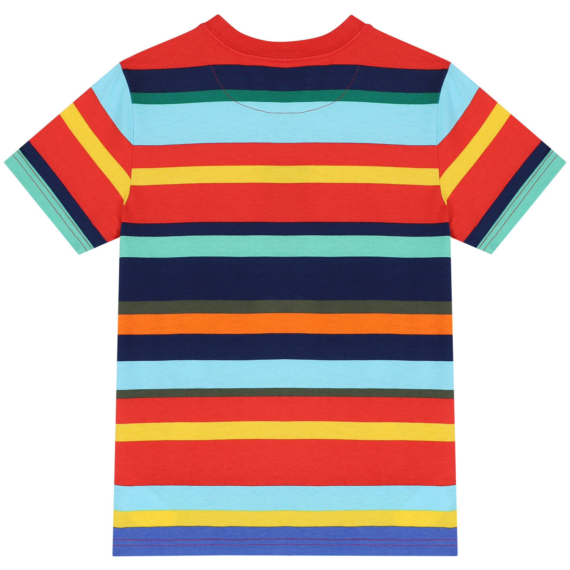 Multi colored striped t shirt top