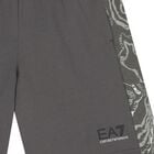 Boys Grey Logo Shorts, 1, hi-res