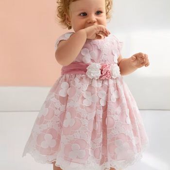 Younger Girls White & Pink Embroidered Organza Dress