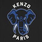 توب اولاد هودى بالشعار بطبعه فيل باللون الاسود , 1, hi-res