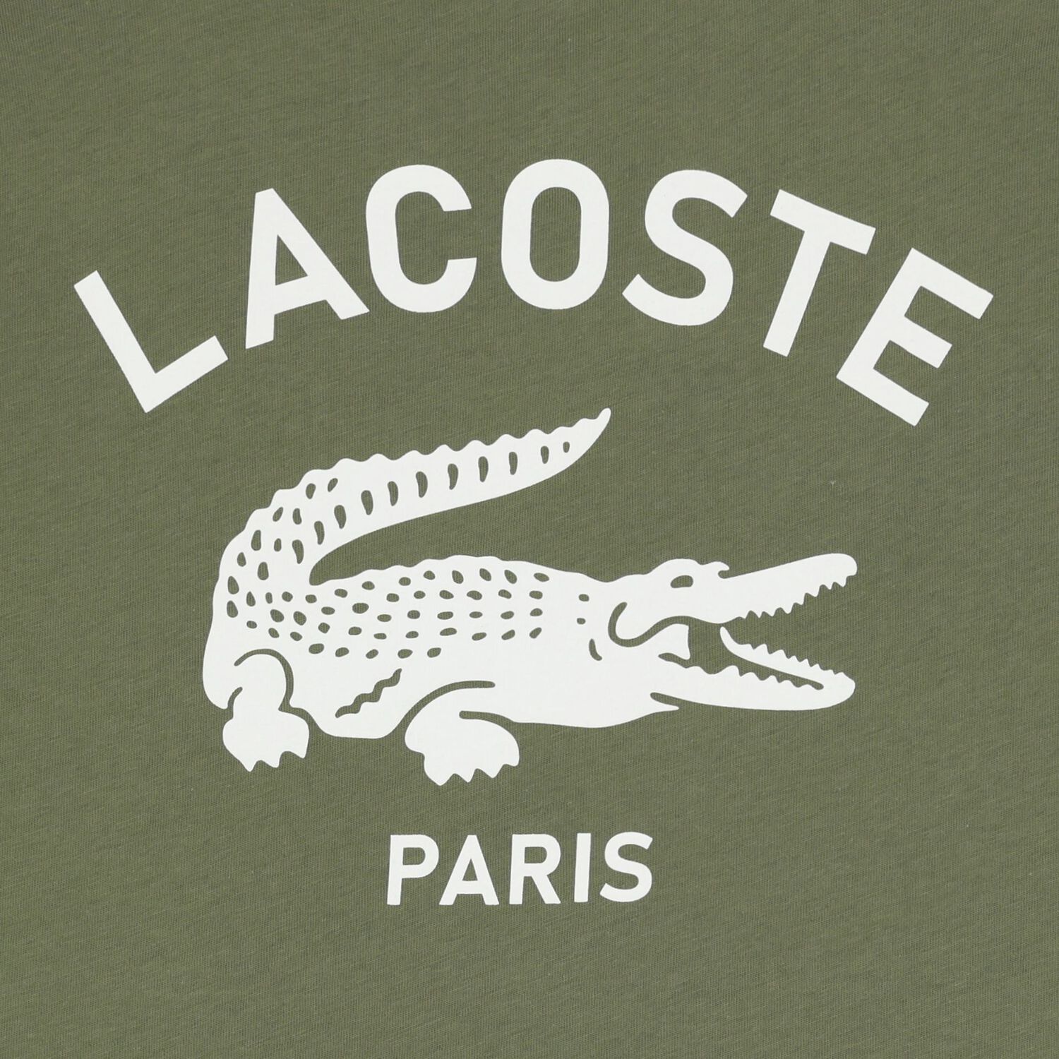 تيشيرت اولاد بالشعار باللون الاخضر, 3, hi-res