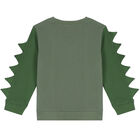 Boys Green Chameleon Sweatshirt, 1, hi-res