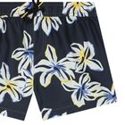 Boys Dark Grey Swim Shorts, 1, hi-res