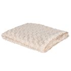 Beige Plush Baby Blanket, 1, hi-res