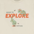 طقم شورت للأولاد باللون البيج والعاجي والأخضر, 3, hi-res