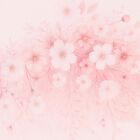 Baby Girls Pink Floral Blanket Set, 1, hi-res