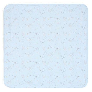 Baby Boys Blue Bird & Butterfly Blanket