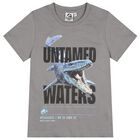 Boys Grey Jurassic Shorts Set, 1, hi-res
