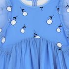 Girls Blue Embroidered Dress, 1, hi-res