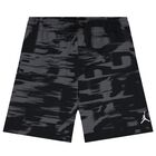 Black & Grey Jordan Shorts, 1, hi-res