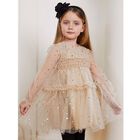 Girls Beige & Gold Star Tulle Dress, 1, hi-res