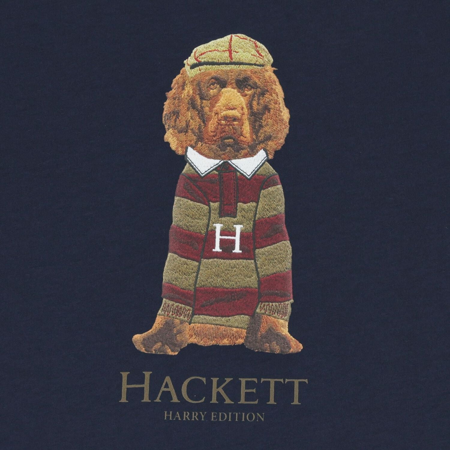 Boys Navy Blue Harry Logo T-Shirt , 1, hi-res