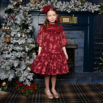 Girls Burgundy Leaf Embroidery Tulle Myrtisa Dress