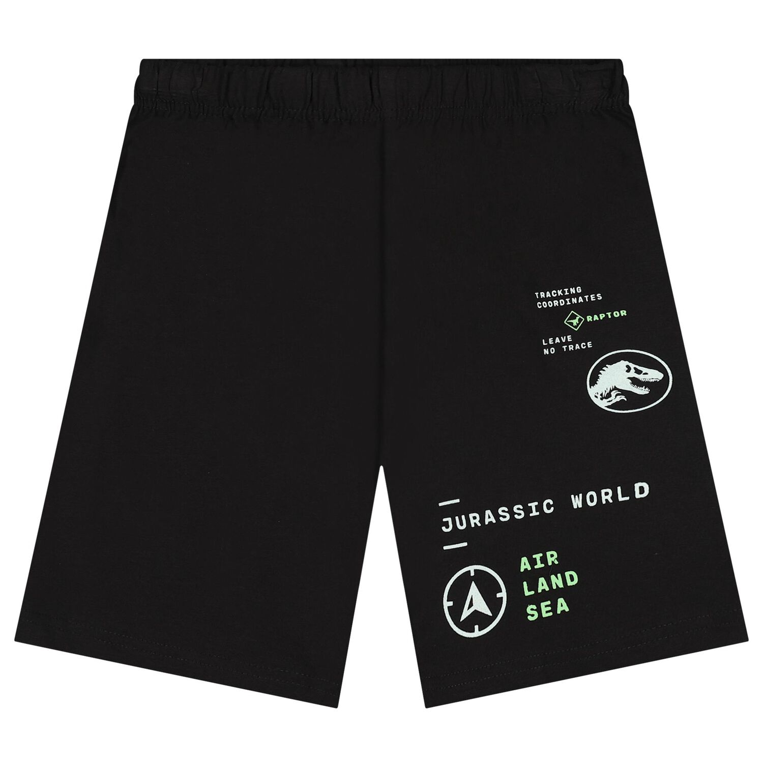 Boys Black Jurassic Shorts Set, 1, hi-res