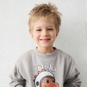 Boys Grey Dino Sweatshirt