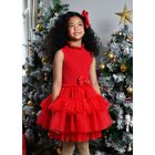 Girls Red Tulle Dress, 1, hi-res