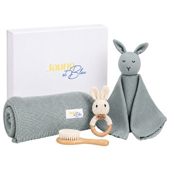 Pale Green Baby Blanket & Bunny Comforter Gift Set