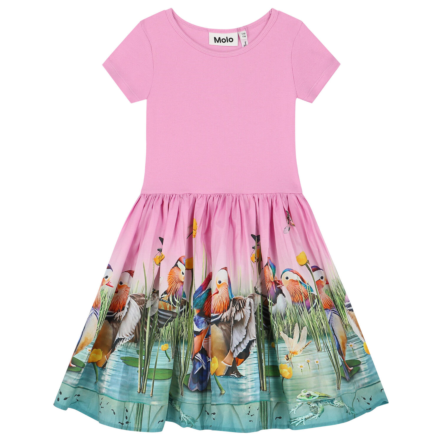 pink dress with birds Buy Pink Stripe Embroidered Tropical Bird Midi Dress from Next USA