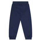 Younger Boys Navy Blue Tiger Logo Tracksuit, 1, hi-res